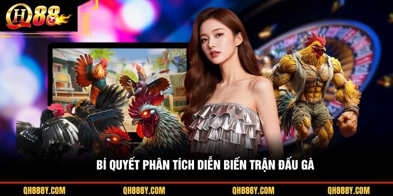 Bí quyết phân tích diễn biến trận đấu gà