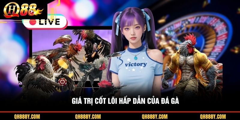 Giá trị cốt lõi hấp dẫn của đá gà
