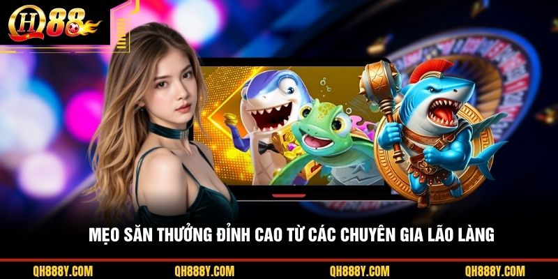 Mẹo săn thưởng đỉnh cao từ các chuyên gia lão làng