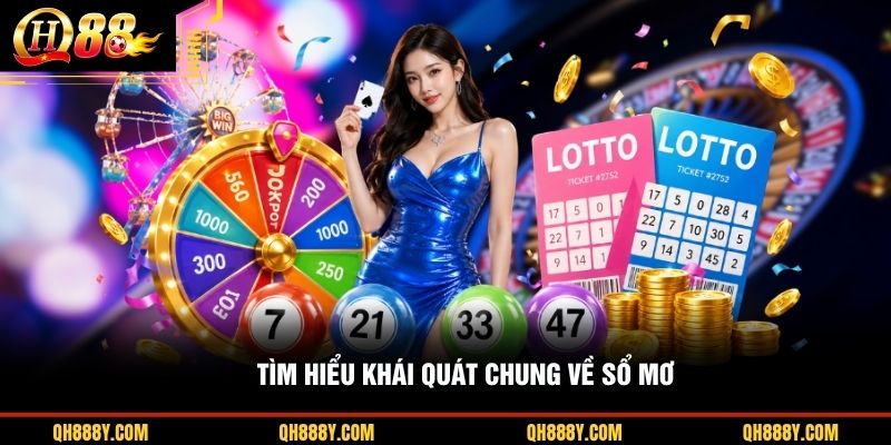 Tìm hiểu khái quát chung về sổ mơ